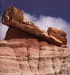 Petrified Forest National Park