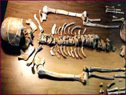 Skelett des Kennewick Man